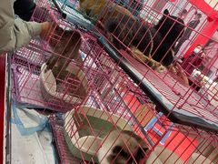 -世纪金源购物中心(远大路店)
