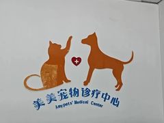 -美美宠物诊疗中心·异宠·骨科(滨江东信分院)