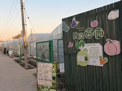 -菊园百果园