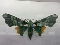 -酷嗒动物文化乐园(cutezoo西溪乐天城店)