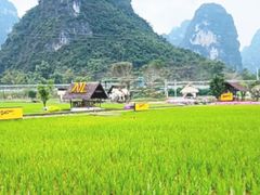 -明仕田园
