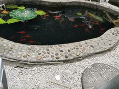 -映像威海·海鲜味道(市区店)