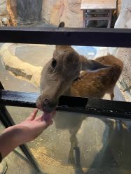 -酷嗒动物文化乐园(cutezoo西溪乐天城店)