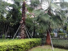 -皇庭广场(福华三路店)