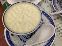 双皮奶-捷信牛奶甜品世家(学府店)