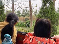 -合肥滨湖国家森林公园