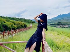 -鹞子沟国家森林公园