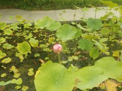 -白塘生态植物园