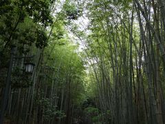 -敬亭山风景名胜区