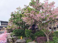 -茅山东方盐湖城景区