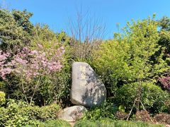 -福建鲤鱼洲酒店