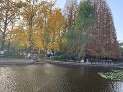 -八大关景区