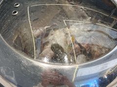 -海味当家·蒸锅海鲜(中山广场创始店)