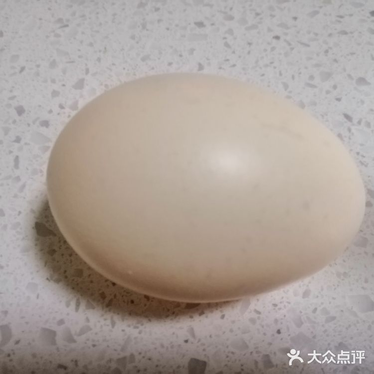 秋季的早餐，来一份润肠暖胃的～燕麦鸡蛋粥