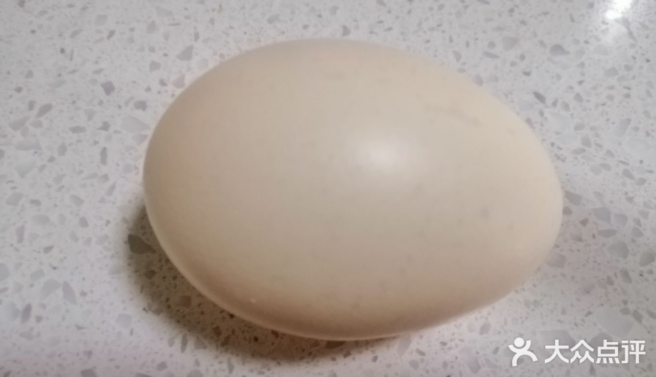 秋季的早餐，来一份润肠暖胃的～燕麦鸡蛋粥
