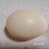 秋季的早餐，来一份润肠暖胃的～燕麦鸡蛋粥
