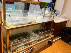-十八字金银饰·拼豆·开蚌手工体验团建(君太百货店)