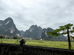 -明仕田园