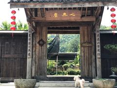 -心无尘茶餐馆(径山村店)