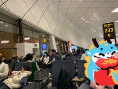 -郑州新郑国际机场-T2航站楼