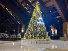 -三亚湾海居铂尔曼度假酒店