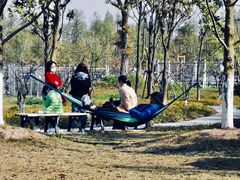 -上海长兴岛郊野公园