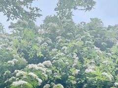 -府河摄影公园