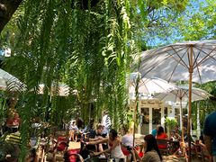 -Fern Forest Cafe