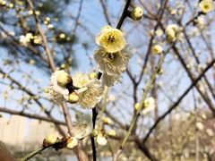 -白塘生态植物园