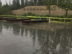 -永定河休闲森林公园