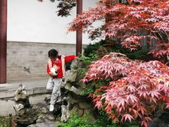 -南京中国近代史遗址博物馆(南京总统府)