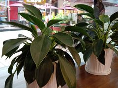 -茶话弄(中贸广场店)