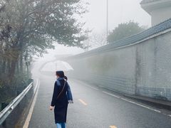-茶颜悦色(岳麓山顶店)