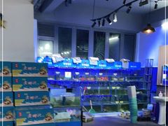 -蟹老板的海鲜