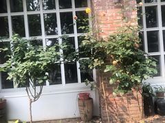-黑土印象菜馆(三元桥店)