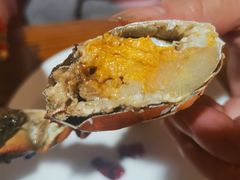 -呼吸森林·生态农庄农家乐私房菜