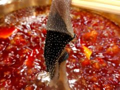 涮毛肚-朱氏胖子烂火锅(洪崖洞店)