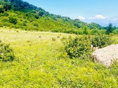 -白草畔自然风景区