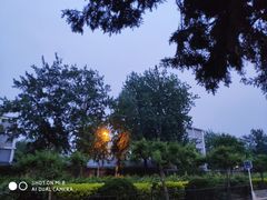 -斯多格书乡(北京大学畅春园店)