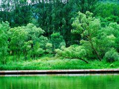 -玉渡山自然风景区