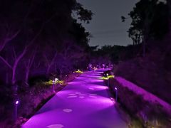 -仙岳公园