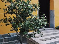 -西园戒幢律寺