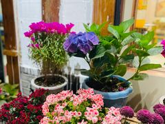 景观位-乳仔牛牦牛汤锅 烤羊排(松潘古城店)