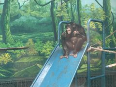 -宁波野生动物园