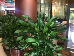 -百合酒店-香榭里自助餐厅