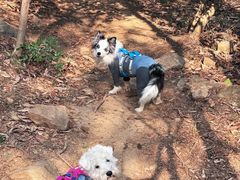 -兴福老面馆(寺路街店)