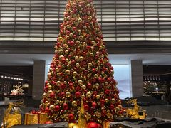 -北京乐多港万豪酒店汤乐宫温泉