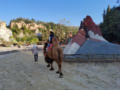 -彩色沙林风景区