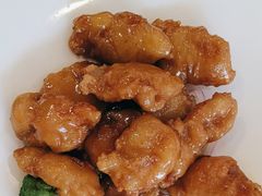 -岭南海晏楼(滨江东总店)