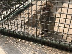 -南京金牛湖风景区